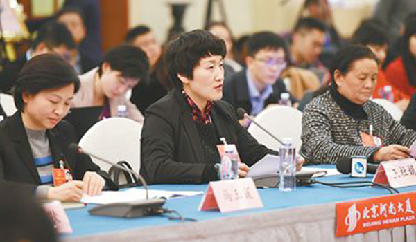 圖片報道：人大代表王杜娟發言